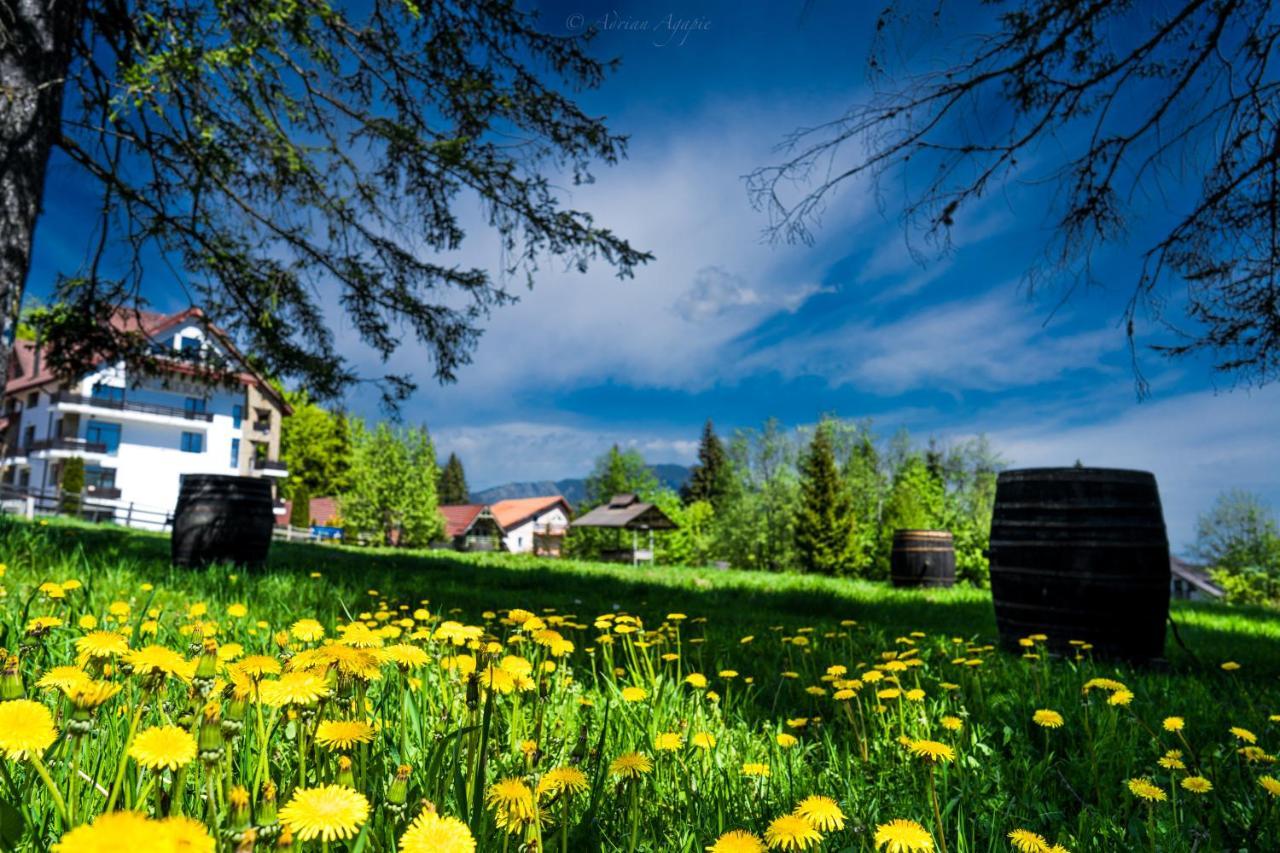 Hotel Hera Predeal Dış mekan fotoğraf